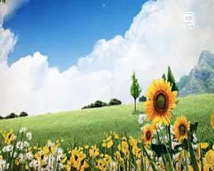 ZDRAVLJE IZ PRIRODE BR 001  08.04.2015 TEMA KAKO DA SE PODMLADIMO.avi