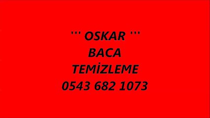 BACA TEMİZLEME