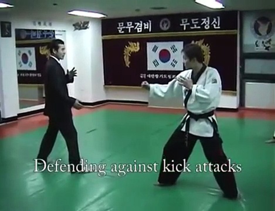 Hapkido Fighting Techniques