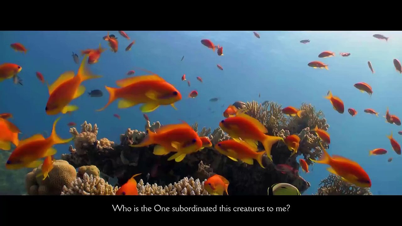 İnsan Neden NAMAZ Kılar ! - Uğur Akkafa - Uğur Pektaş