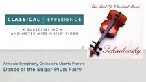 P. Tchaikovsky : Dance of the Sugar-Plum Fairy - ClassicalExperience