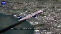 Hudson River Plane Landing (US Airways 1549) Animation with Audio