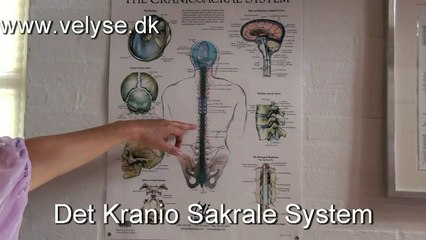 Kraniosakral terapi, KST, Craniosacral CST, Odense, Fyn