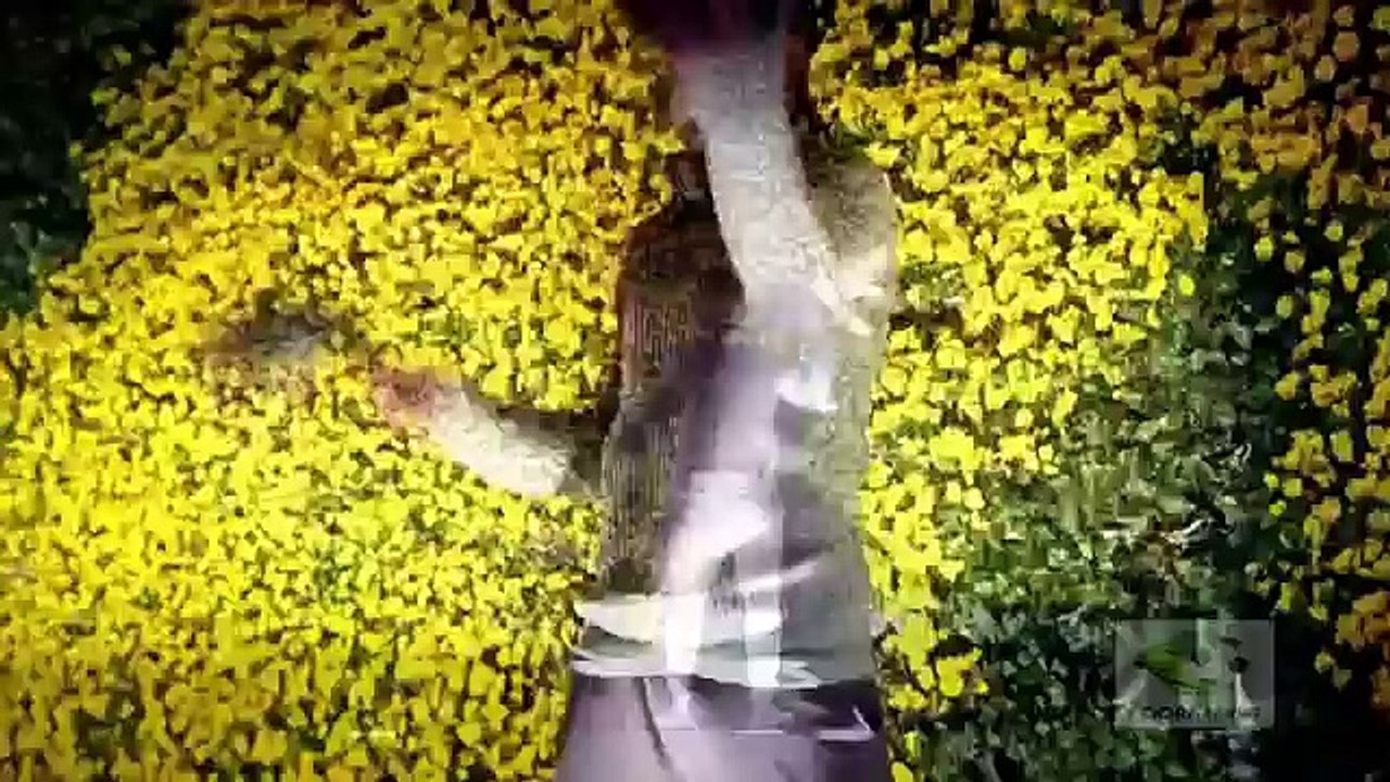 افضل مهارات في عالم كرة القدم قد تشاهدها في حياتك  [HD]