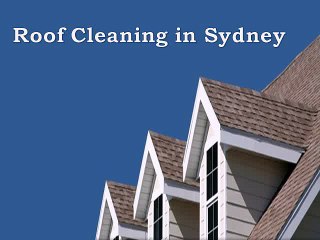 Roof Cleaning in Sydney