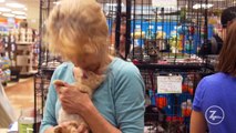 Communities With Drive Winner: Anjellicle Cats Rescue, Saving More Than 9 Lives