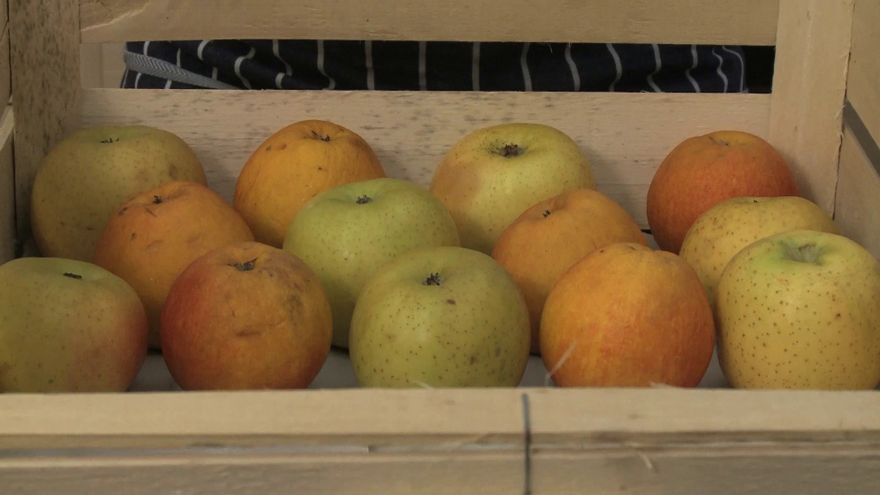 Comment conserver des pommes ? - Gourmand