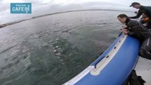 Quand un grand requin blanc attaque un canot pneumatique ça fait du grabuge