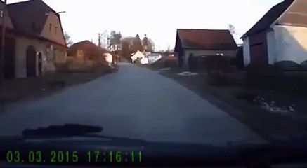 Juste un gars normal qui promène son chien... euh, un chien qui promène son humain!