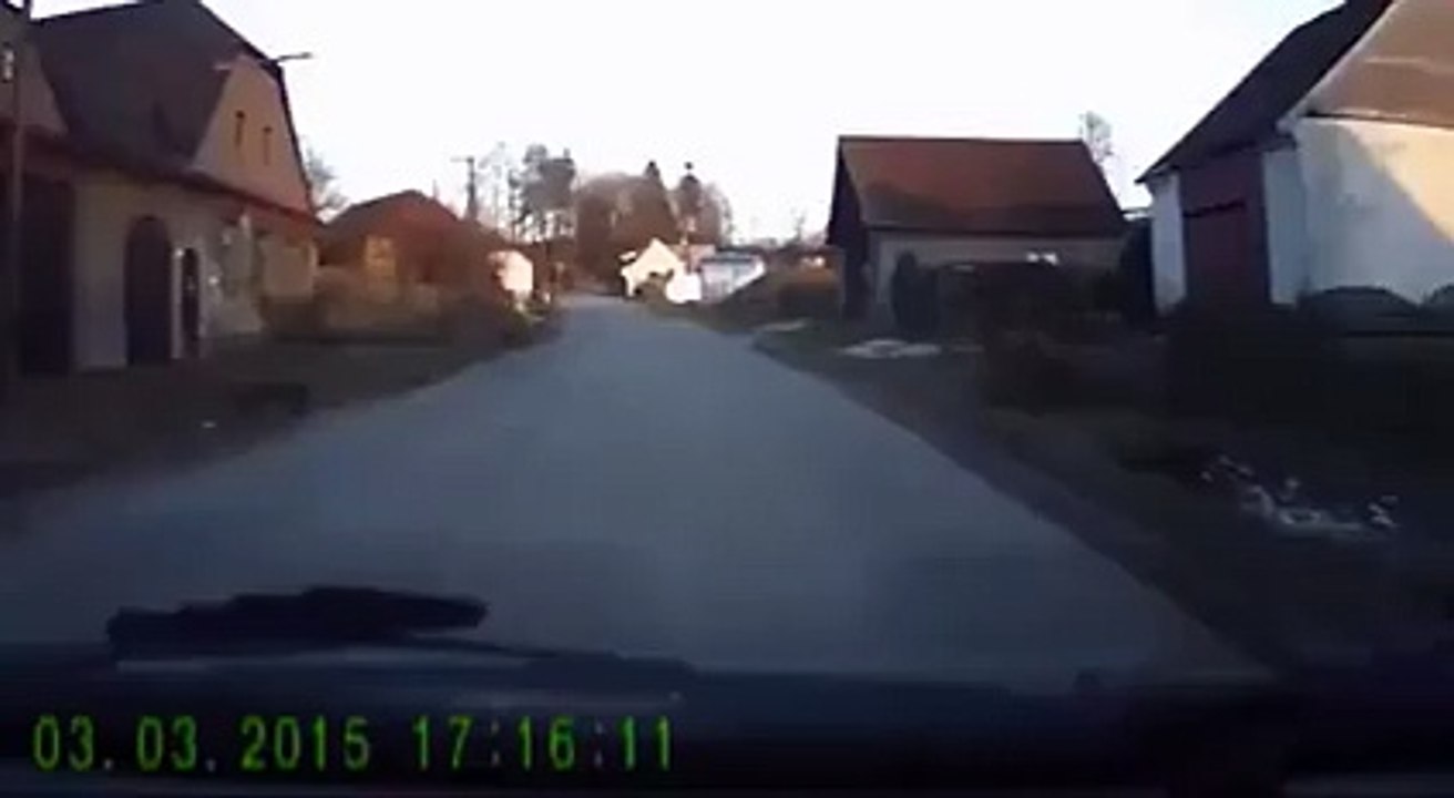 Juste un gars normal qui promène son chien... euh, un chien qui promène son humain!