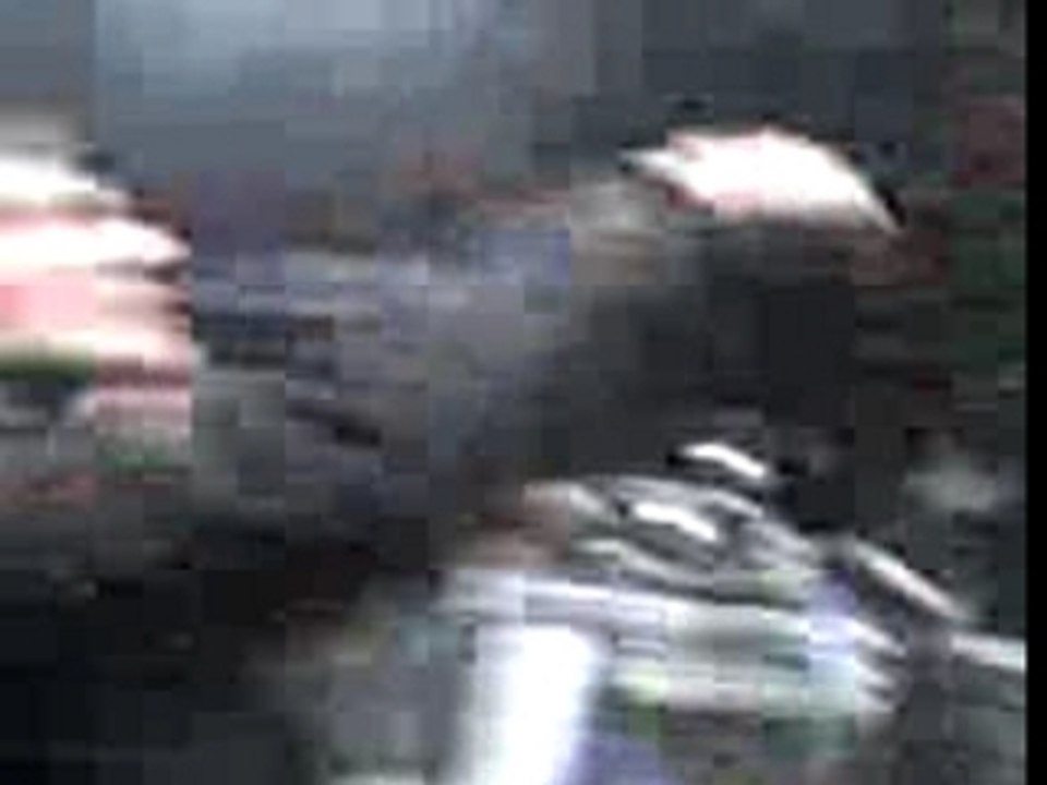 L'apogée du maître