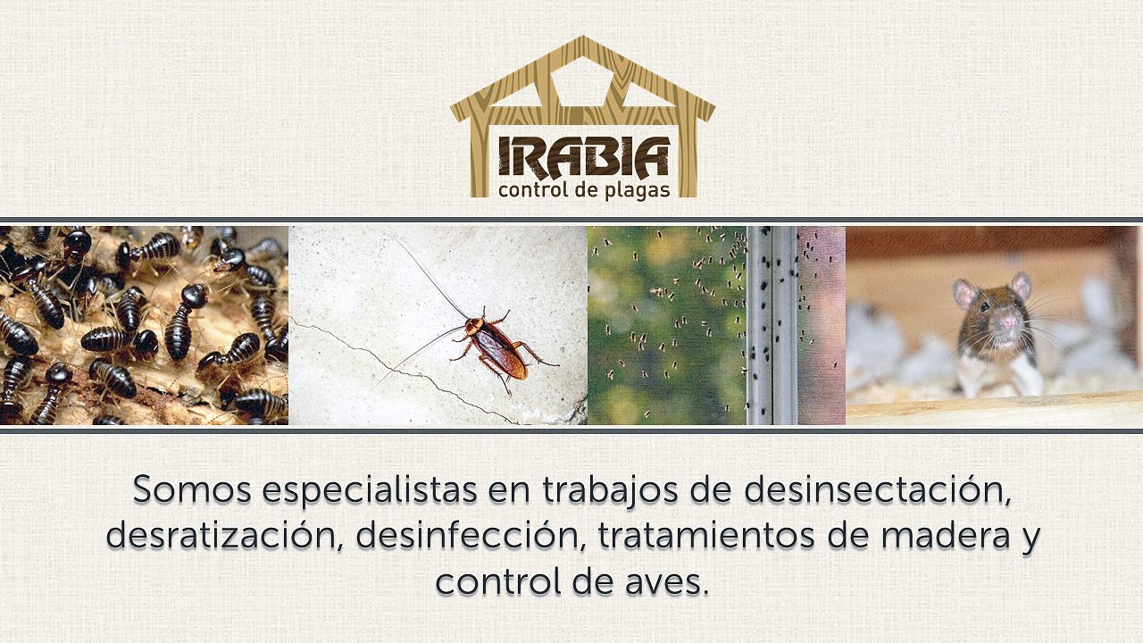Desinfección en Navarra - Irabia Control de Plagas - Control de insectos