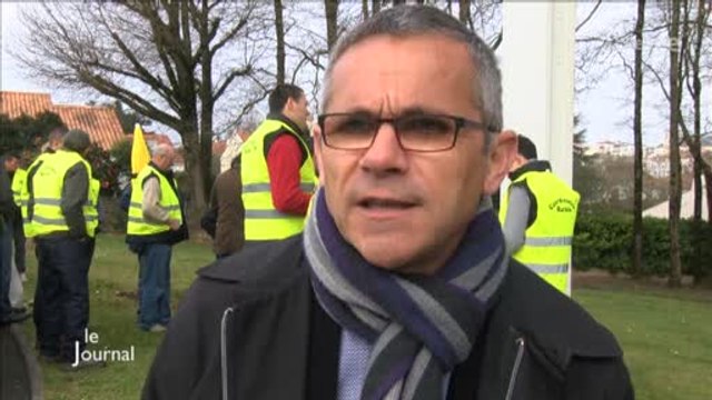 Quotas laitiers: Craintes de la Coordination Rurale (Vendée)