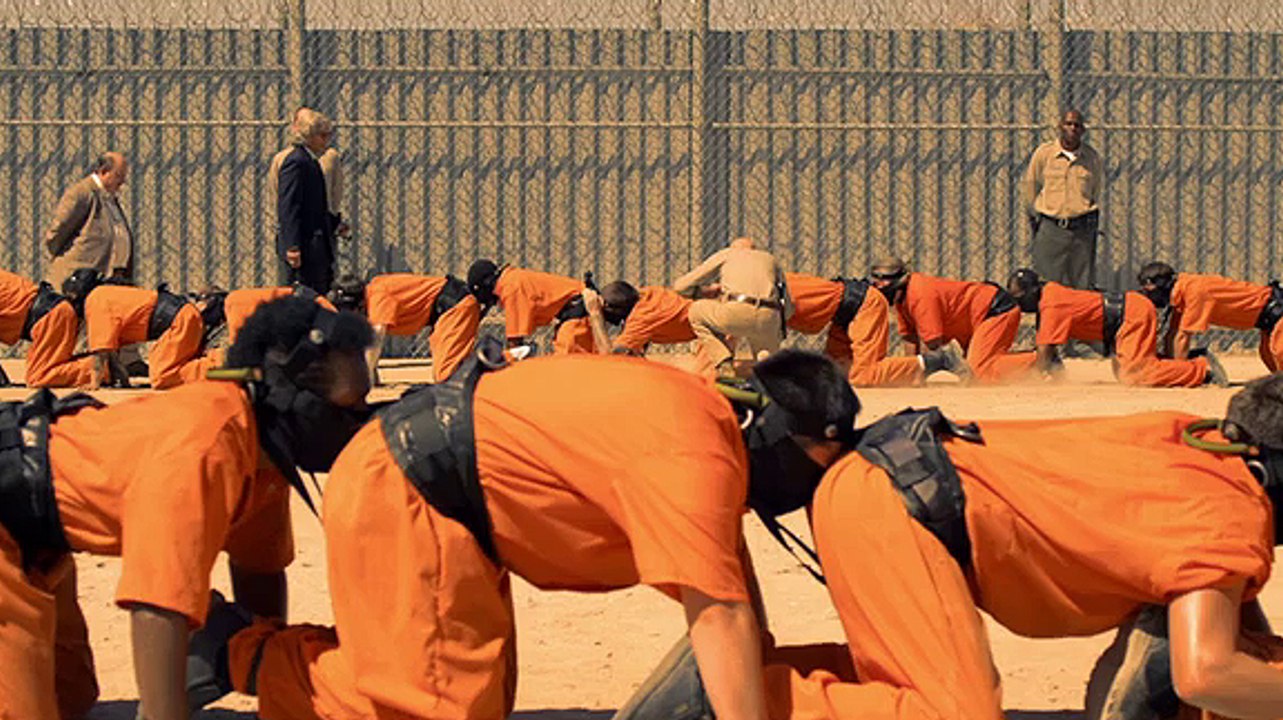 Ou Regarder The Human Centipede