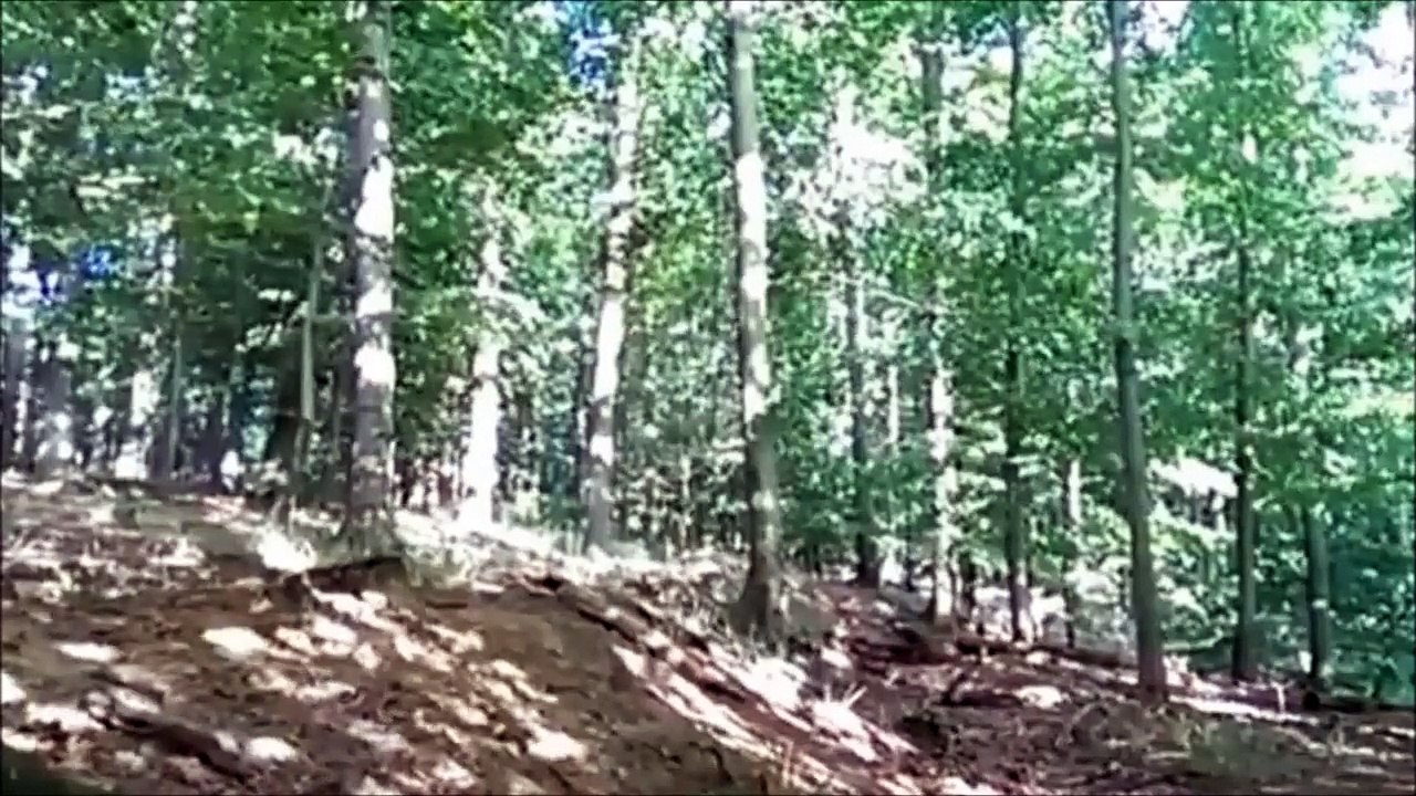 compilation fail 1 / 2015