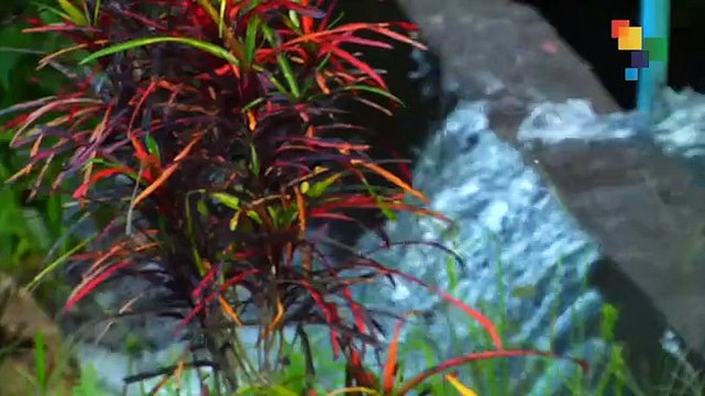 Ecuador Moves Toward Hydroelectric Energy