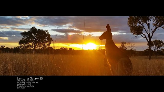 Samsung Galaxy S5 4K Video HD Test Sample + Photography Picture Quality Samples