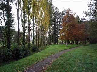 Automne sur le lac du Pilory