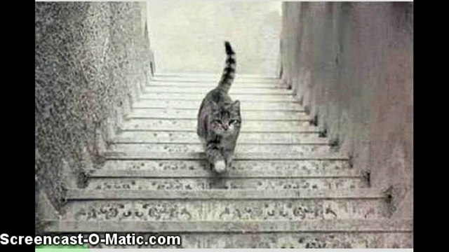 ¡Me pareció ver un lindo gatito! Pero ¿El gato sube o baja las escaleras? ¿Usted que cree?