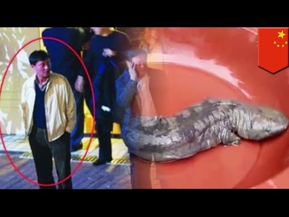 Miam-Miam: De la salamandre géante de Chine et un Mojo picon et c’est reparti!