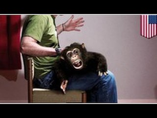 Un homme cambriole une maison, vole un chien et se prend deux balles.