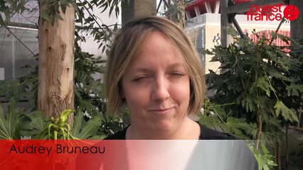 Rencontre avec Cali