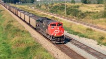 CN 8959 Leads Empty Coal Train Past Cloverdale, BC 24/8/14
