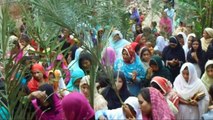 Palm Sunday Celebrates with Branches of Palm 2015