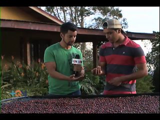 Un beneficio nos revela el secreto del éxito para producir café de exportación