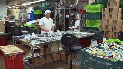 ¿Cómo se hacen los bombones?