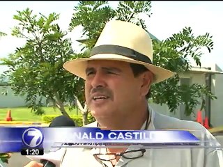 Gramilla del Estadio Nacional respondió de la mejor manera