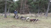 2015 Pinatelle the movie, randonnée en kart et VTT avec des chiens de traineau Norrland Husky