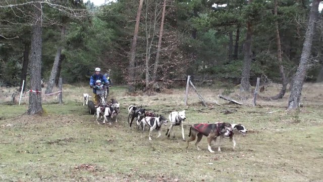 2015 Pinatelle the movie, randonnée en kart et VTT avec des chiens de traineau Norrland Husky