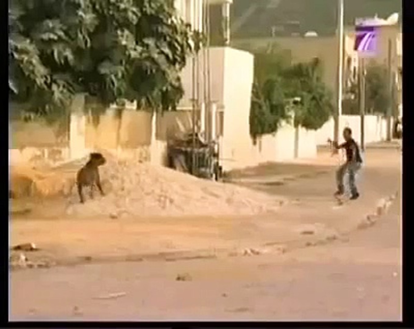 Funny Dog Prank Arab Funny Dog Funny Dog Vieo Funny Dog Vieo 2015 Video Dailymotion