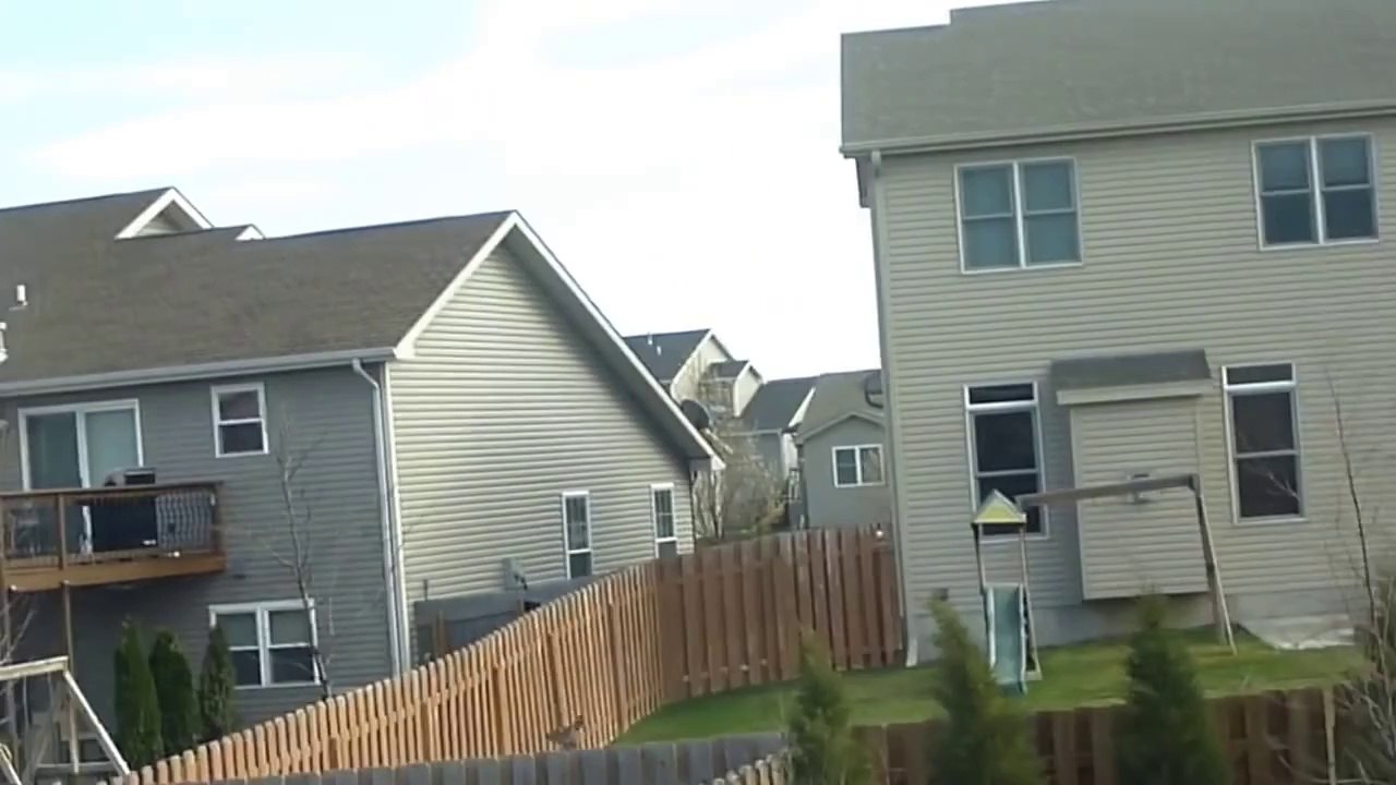 Deer hops fences