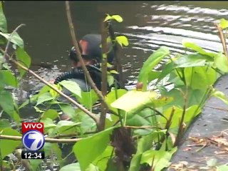 Localizan tres cuerpos sin vida en un carro en Limón