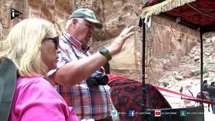 Jordanie : La souffrance des chevaux de Petra