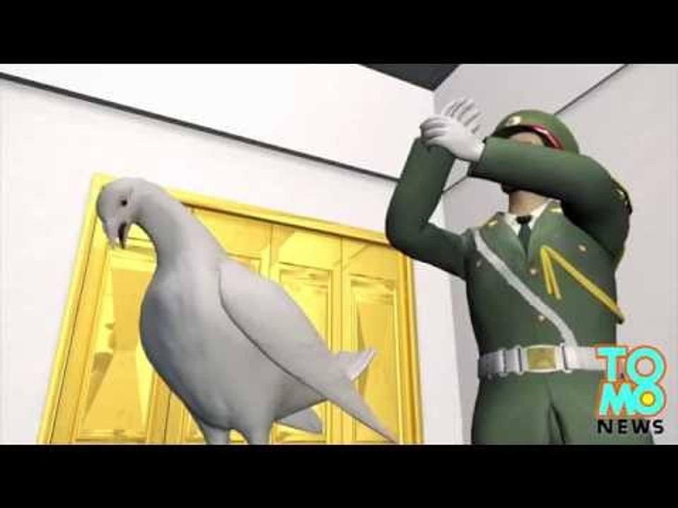 PASSE-TEMPS CHINOIS: Avant une cérémonie, Pékin organise des fouilles anales sur des pigeons