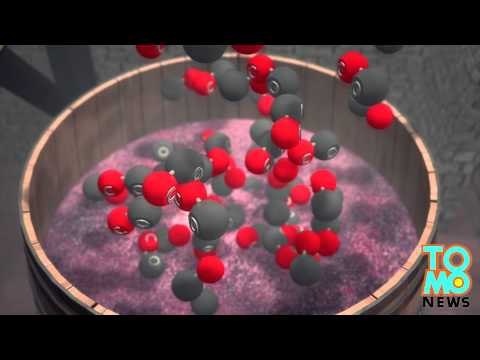 Un verre ça va, deux verres…: Une vigneronne est retrouvée morte dans une cuve à vin