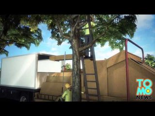 Déchiqueteuse: Un paysagiste se fait broyer dans un broyeur de branches auto-alimenté