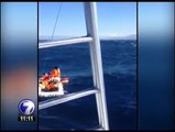 Videos captados con teléfonos celulares muestran los momentos vividos en el naufragio del catamarán