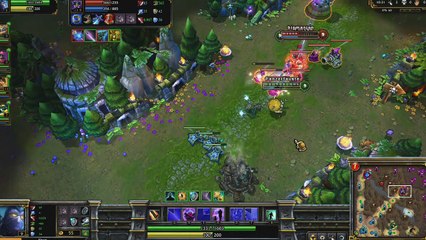 Shen Champion Spotlight