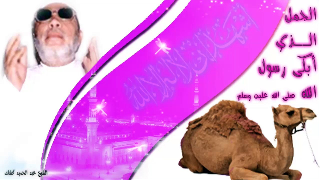 الشيخ عبد الحميد كشك / الجمل الذي أبكى رسول الله صلى الله عليه وسلم