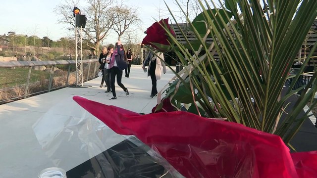 Le Zoo de Vincennes fête ses 1 an sous les étoiles