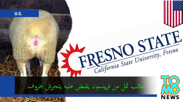 طالب من ولاية فرينسون يسجن بسبب الجنس مع خروف