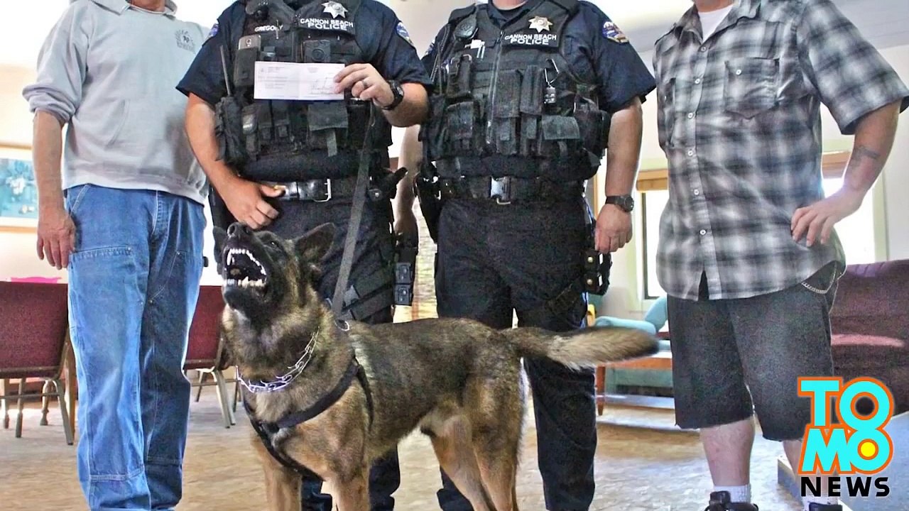 كلب بوليسي يتعرض للطرد من الشرطة بسبب أداءه الرديء