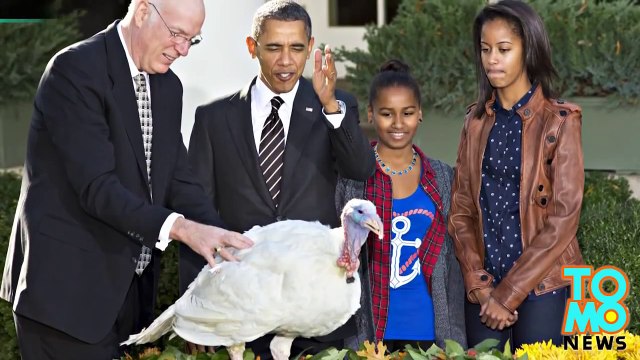 نمور فلاديمير بوتين تعبر الحدود إلى الصين وتفترس الخراف الصينية