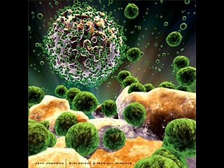 Jeff Rense - HIV XDR TB  Strain