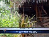 Un hotel en medio del bosque que no necesitó cortar árboles para su construcción