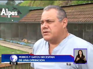 Realizarán venta de garaje para ayudar a animales de la calle